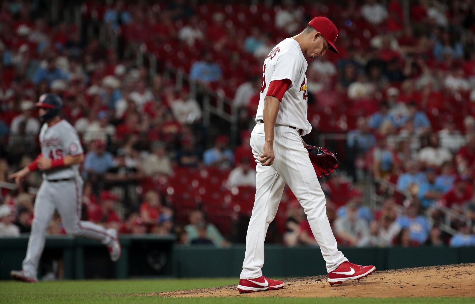 Cardinals, Nats at Busch